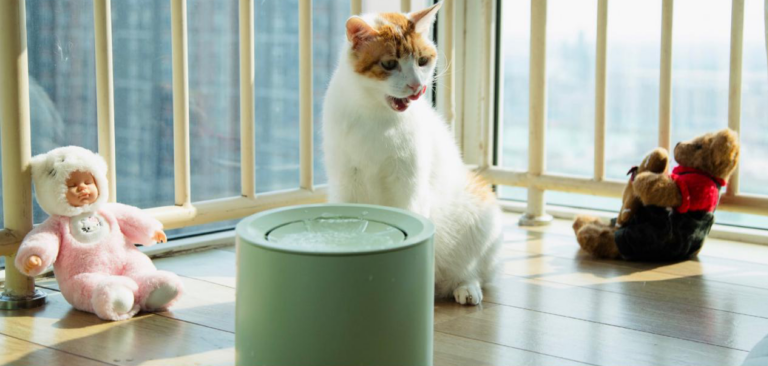 petree-CatWaterFountain-mint-withCat-5